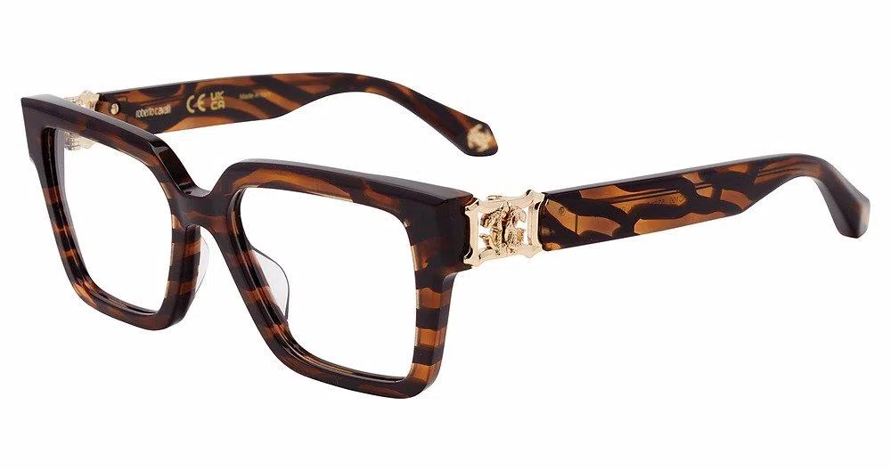 Roberto Cavalli VRC100 Eyeglasses - view 3
